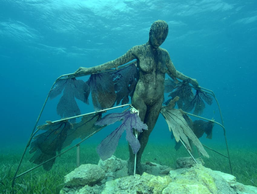 Cancun: Snorkeling Tour at MUSA The Underwater Museum - Booking Details and Flexibility