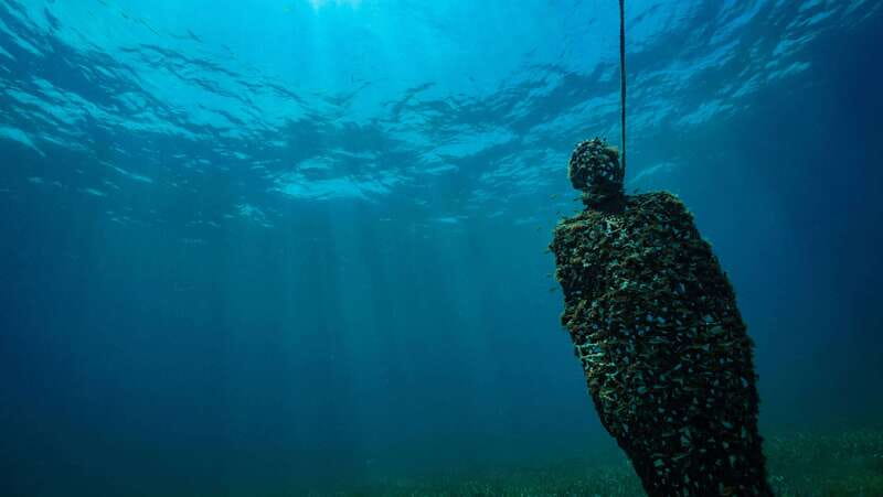 Cancun: Snorkeling Tour at MUSA The Underwater Museum - Manchones Reef and the Search for Sea Life