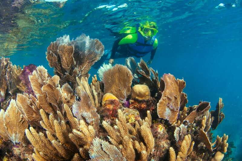 Cancun: Snorkeling Tour at MUSA The Underwater Museum - Guides, Safety, and the Feel of the Trip