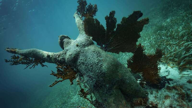 Cancun: Snorkeling Tour at MUSA The Underwater Museum - Prepare for Sun, Water, and Weather