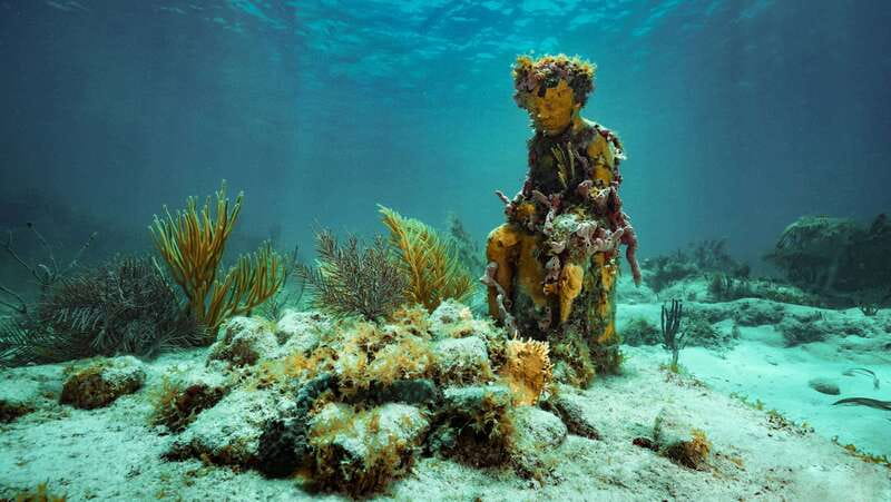 Cancun: Snorkeling Tour at MUSA The Underwater Museum - From Aquaworld Cancun to Isla Mujeres Bay