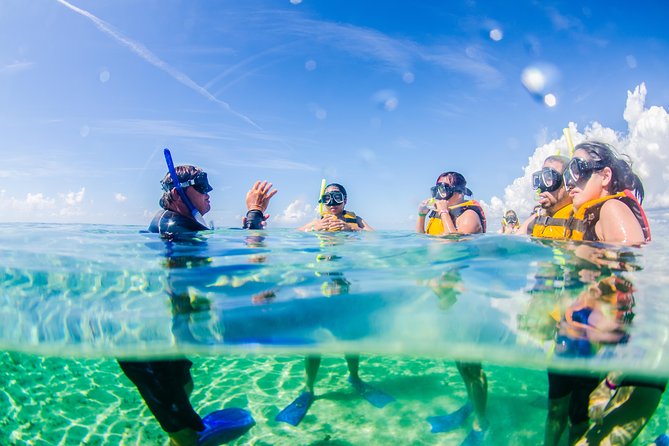 Cancun speedboat and snorkel tour: shared speedboat - The real price: $79 before extras