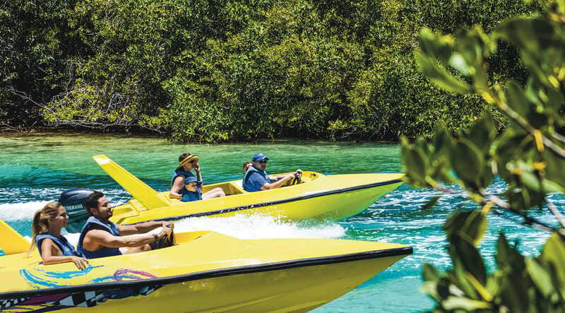 Cancun: Speedboat Mangrove Jungle & Snorkel Tour - Is the snorkeling suitable for beginners?