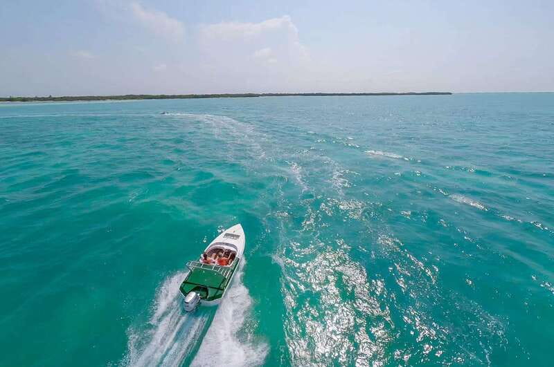 Cancun: Speedboat tour to a Virgin Beach - The strongest reasons to choose this outing