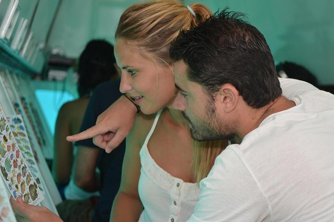 Cancun Submarine and Optional Snorkeling Tour - Why the optional snorkeling changes the value