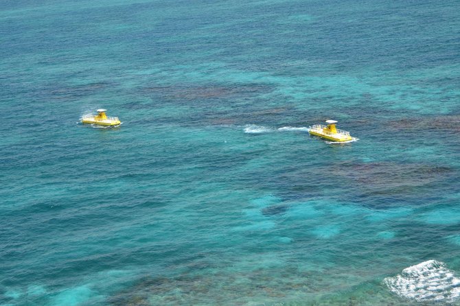 Cancun Submarine and Optional Snorkeling Tour - Who should choose this excursion