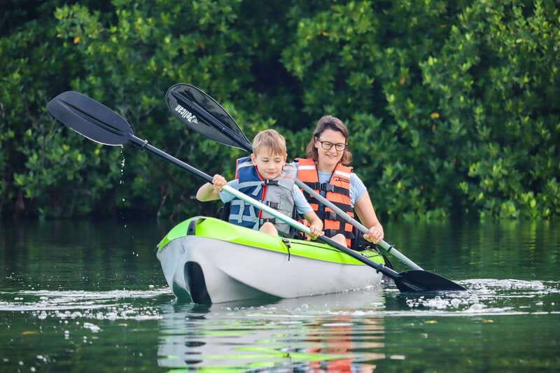 Cancun: Sunset Kayak Experience in the Mangroves - A peaceful side of Cancun at Nichupté Lagoon