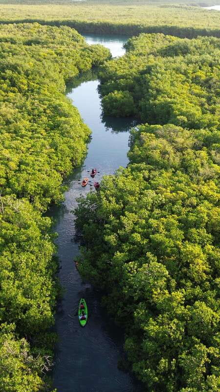 Cancun: Sunset Kayak Experience in the Mangroves - The first 15 minutes: safety and paddling basics