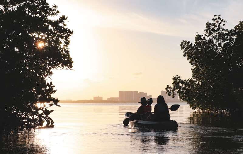 Cancun: Sunset Kayak Experience in the Mangroves - What wildlife might you see?