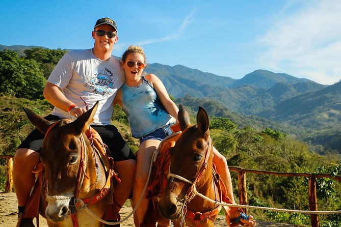 Canopy River Zipline Tour and Mule Ride - Flying over Canopy River Park