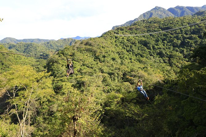 Canopy River Zipline Tour and Mule Ride - Why the small group matters