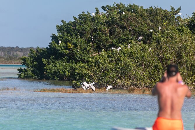 Catamaran Adventure: Sailing and Swimming in the Bacalar Lagoon - Drinks, fruit, and the value of the package