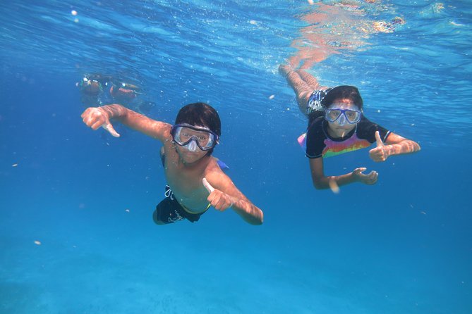 Catamaran Tour to Isla Mujeres all Included - Who should book this Isla Mujeres tour?