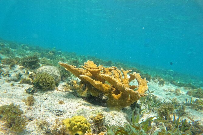 Catamaran with Snorkeling and North Beach, Isla Mujeres - Three hours to make Isla Mujeres your own