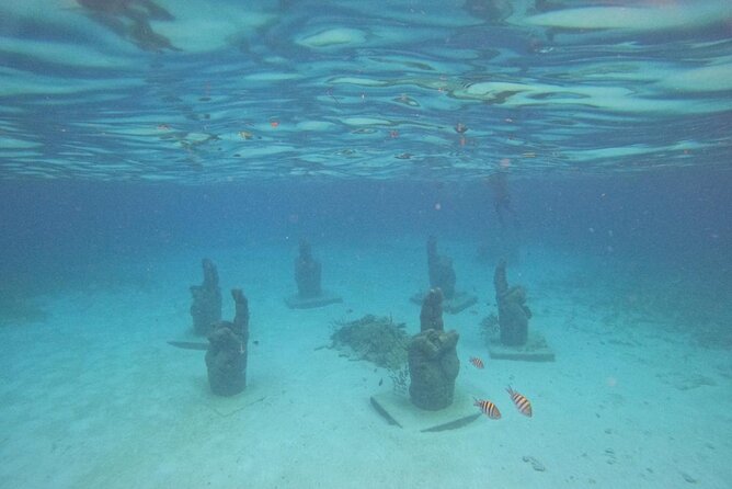 Catamaran with Snorkeling and North Beach, Isla Mujeres - The golf cart and taxi warning