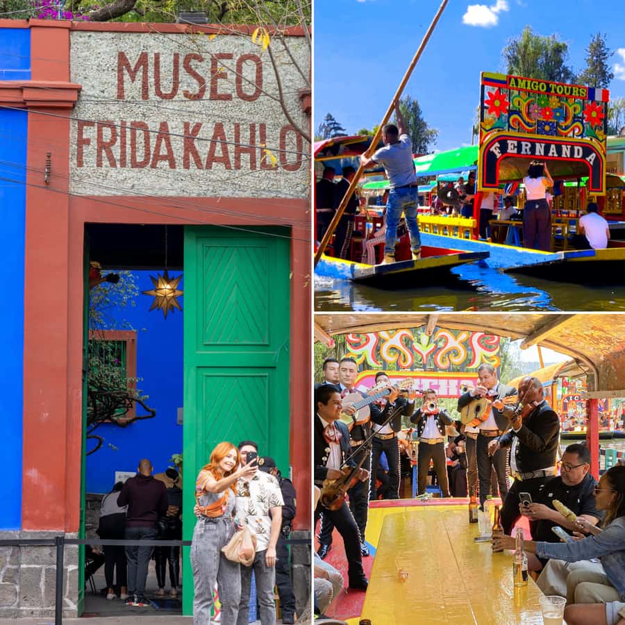 CDMX: Xochimilco, Coyoacan, Frida Kahlo Museum & Murals Tour - One long day, four very different sides of Mexico City