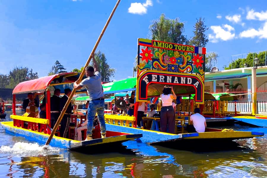 CDMX: Xochimilco Trajinera Party, Drinks, Mariachi & Tacos - What the experience really shows you