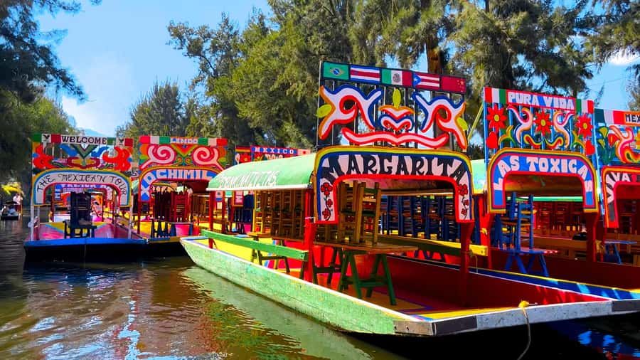 CDMX: Xochimilco Trajinera Party, Drinks, Mariachi & Tacos - Does $41 offer good value?