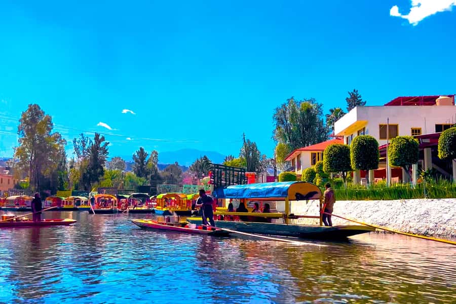 CDMX: Xochimilco Trajinera Party, Drinks, Mariachi & Tacos - Weather, comfort, and what to bring