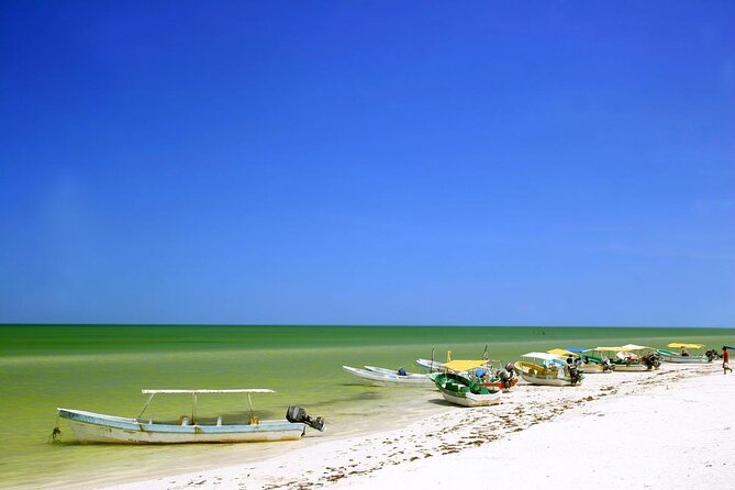Celestun Beach and Mangrove Boat Ride from Merida - Quick points to know before booking