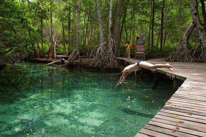 Celestun Beach and Mangrove Boat Ride from Merida - Is $128 a fair price?
