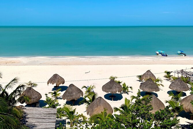 Celestun Beach and Mangrove Boat Ride from Merida - Who should book this Celestun tour?