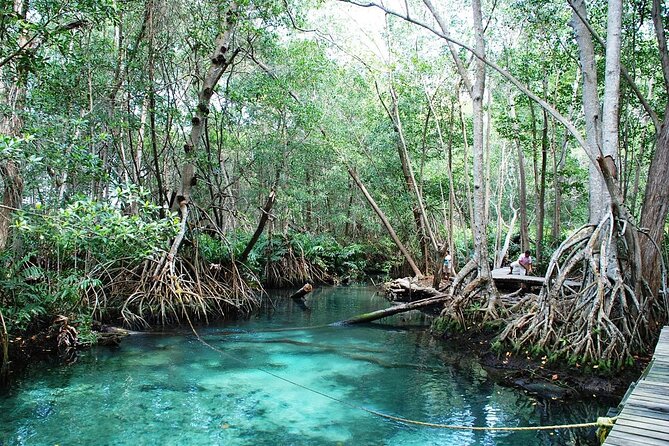 Celestun Beach and Mangrove Boat Ride from Merida - The Celestun boat ride and flamingo search
