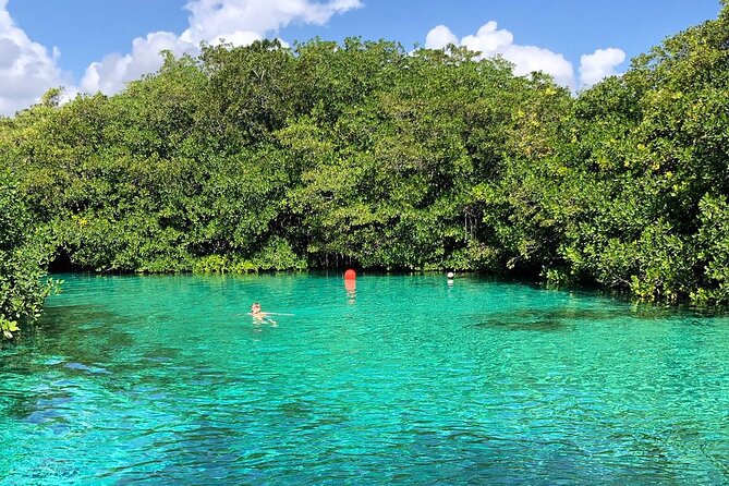 Cenote Triple Adventure Tour in Tulum - Gran Cenote: caves, sunlight, and clear water
