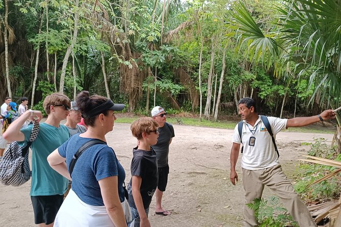 Chacchoben Mayan Ruins Excursion - Booking ahead and handling the meeting point