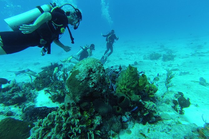 Chankanaab Cozumel Scuba Diving - Key points to know before you book