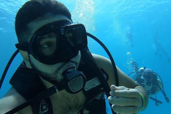 Chankanaab Cozumel Scuba Diving - Group size, timing, and the cruise-stop question