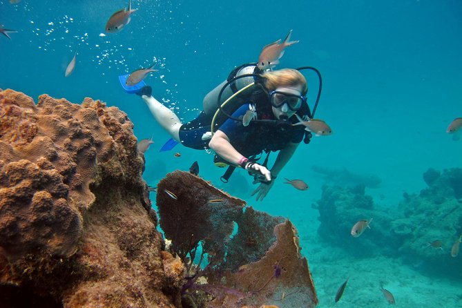 Chankanaab Cozumel Scuba Diving - How the price measures up
