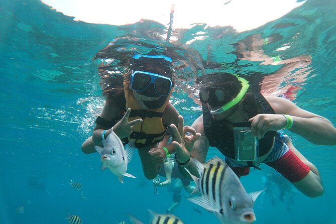 Chankanaab Park Admission + Snorkeling - Beach chairs and palapas make the package practical