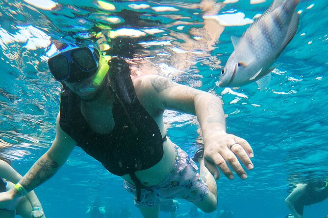 Chankanaab Park Admission + Snorkeling - What the $39 price really covers