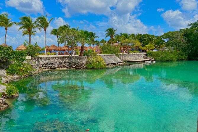 Chankanab Park Admission +Open bar +Lunch included +Snorkeling - Snorkeling the Chankanaab Reef
