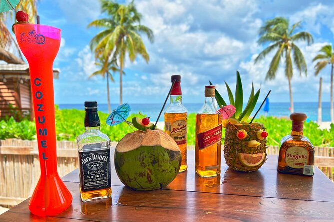 Chankanab Park Admission +Open bar +Lunch included +Snorkeling - Getting from the cruise port to the park