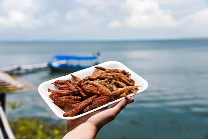 Chapala Ajijic Area Tour from Guadalajara - Starting at 10:00 am in Guadalajara