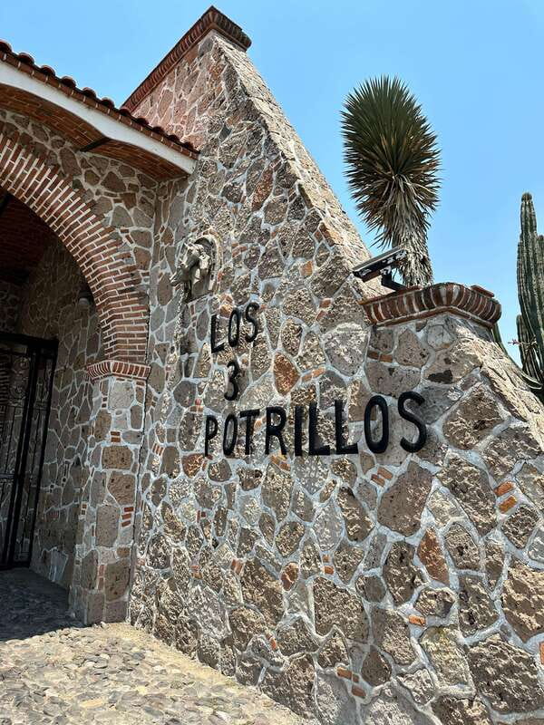 Chapala and Ajijic Tour from Guadalajara with 3 Potrillos - Tequila tasting at the factory