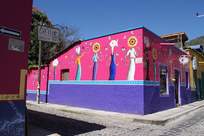 Chapala Lake & Ajijic Tour with "Tres Potrillos Ranch" - Transport, Pickup, and the Value of the $79.80 Price