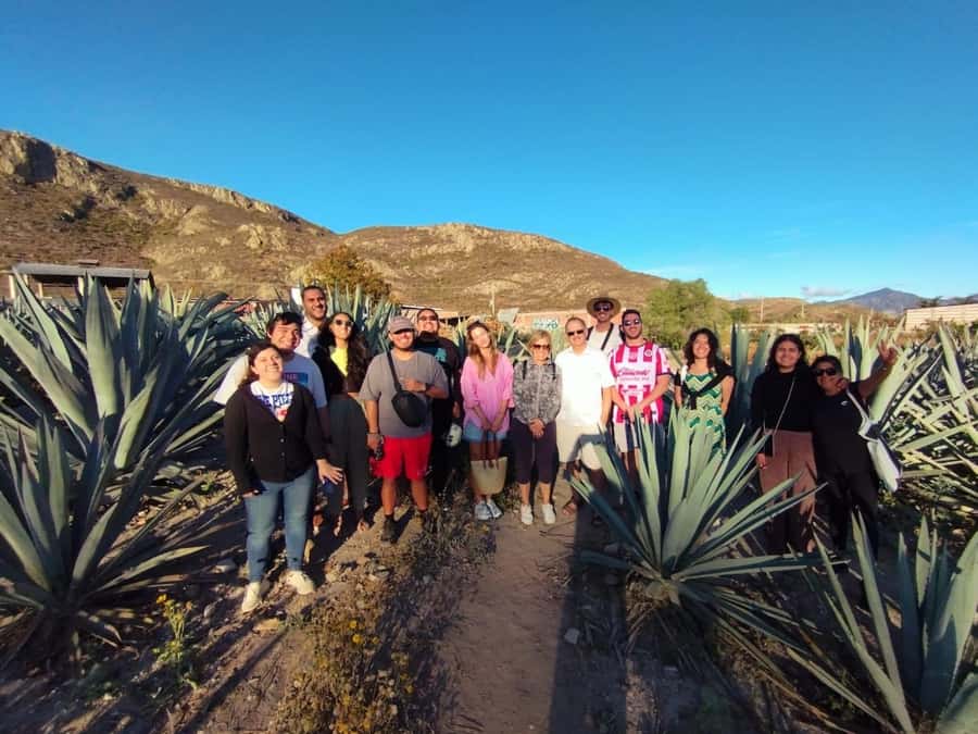 Check out Hierve el Agua, Mitla, the Tule Tree, Rugs, and a Mezcal Distillery Tour - The mezcal distillery: a lively finish with plenty to taste