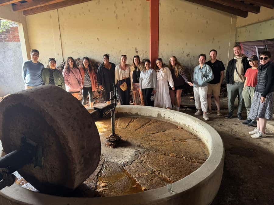 Check out Hierve el Agua, Mitla, the Tule Tree, Rugs, and a Mezcal Distillery Tour - What the $49 price really covers