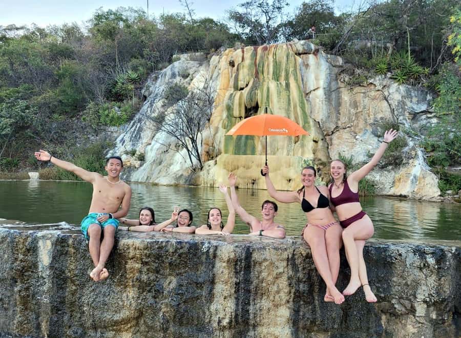 Check out Hierve el Agua, Mitla, the Tule Tree, Rugs, and a Mezcal Distillery Tour - Árbol del Tule: a quick start beneath a huge tree