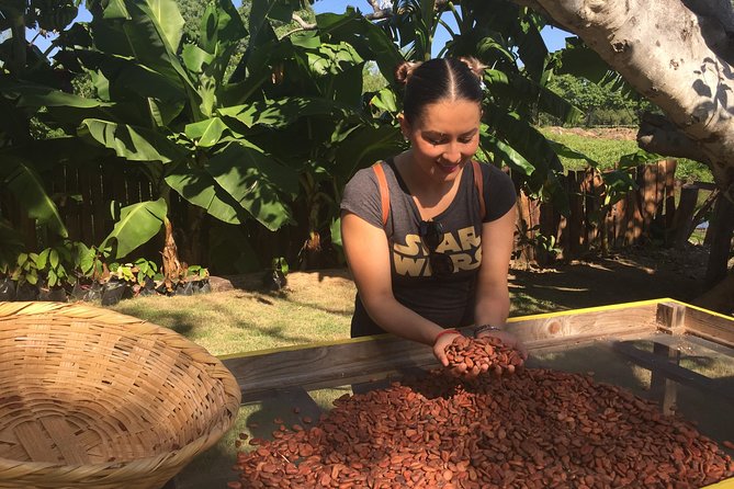 Chocolate Tour in Vallarta - What makes the private format worthwhile