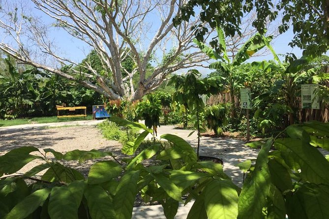 Chocolate Tour in Vallarta - Guides who make the workshop personal