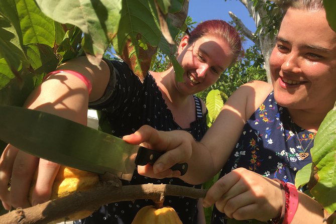 Chocolate Tour in Vallarta - Timing, transport, and practical planning