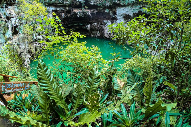 Choose your experience to live in Los 7 Cenotes San Gerónimo - The semi-open cenote and its changing light