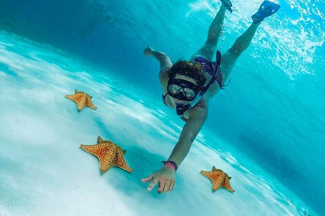 Cielito Cozumel: Mexican Caribbean Snorkeling Tour - Three Cozumel water stops in one half-day