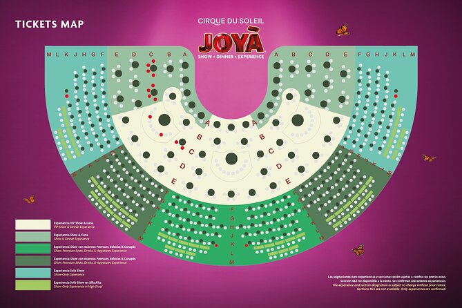 Cirque du Soleil JOYÀ Admission Tickets - Who should book JOYÀ?