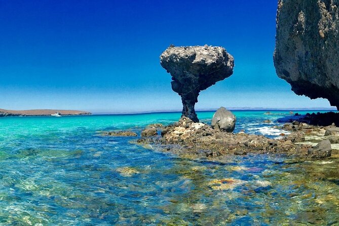 CityTour La Paz, Balandra beach and the Magic Town of Todos Santos - Why Balandra makes the early start worthwhile
