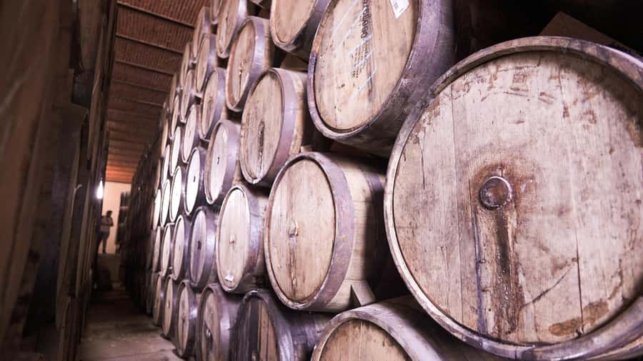 Classic Tequila Route Tour from Guadalajara and cantaritos el GÜERO!!! - Lunch comes late, so plan your appetite